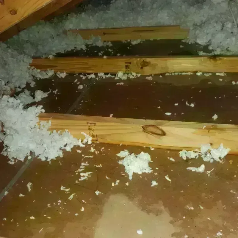 Attic Water Damage in West Monroe, MI