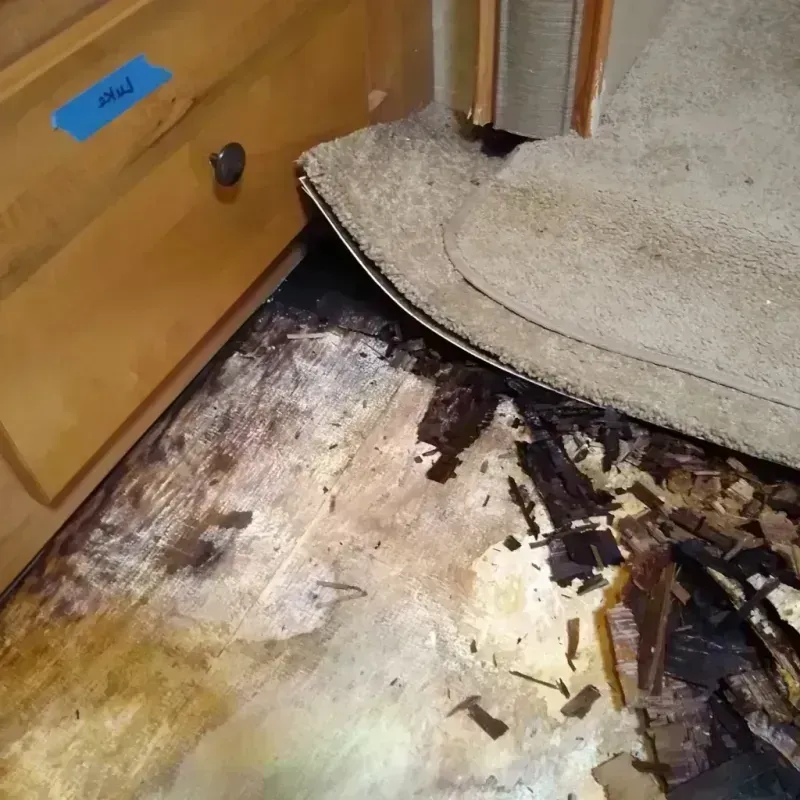 Wood Floor Water Damage in West Monroe, MI